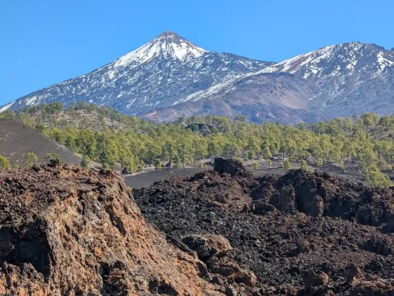 Mount Teide volcano with snow-capped peak rising above pine forest and black lava fields, Tenerife