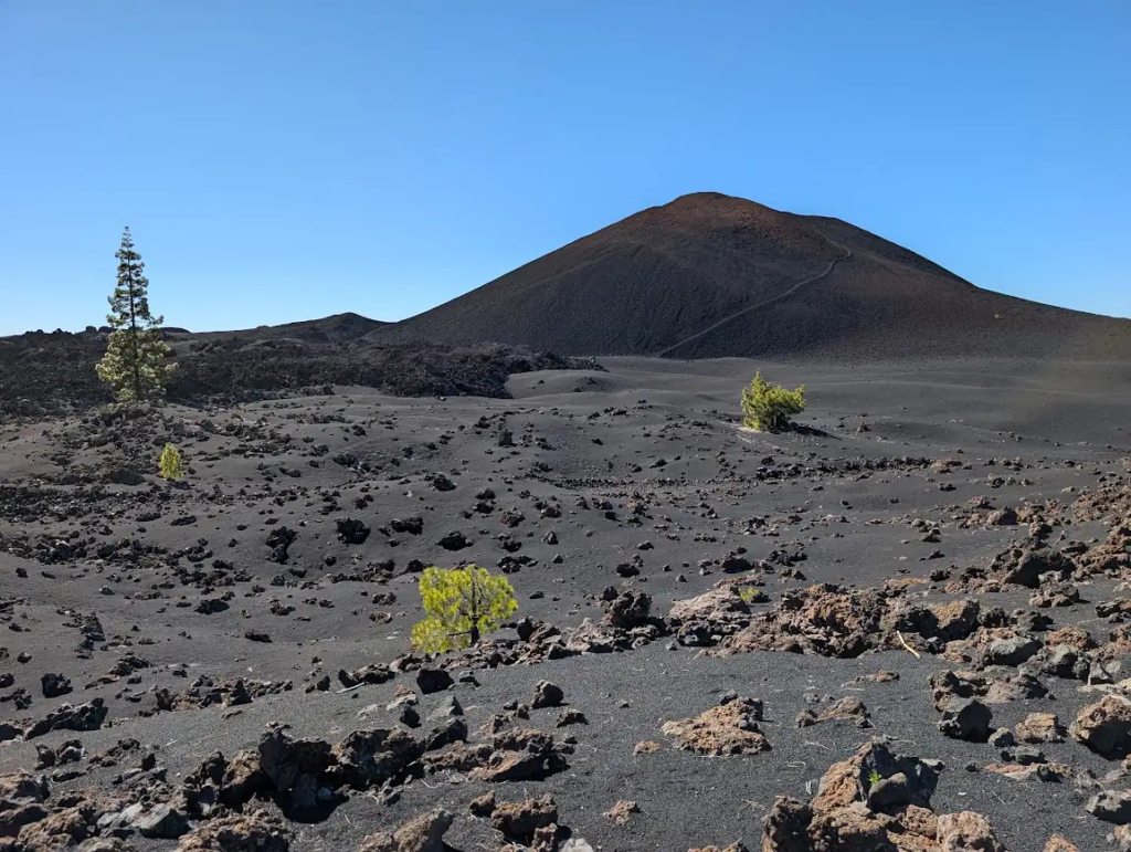 Chinyero volcanic cone and black lava field with Canary pines in Chinyero Special Nature Reserve, Tenerife