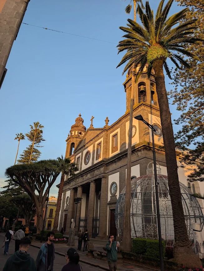 Cathedral of La Laguna at sunset with a dragon tree and palm trees in the historic center of San Cristóbal de La Laguna, Tenerife