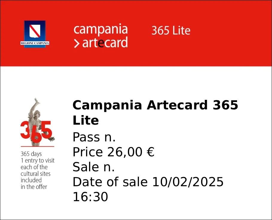 Campania Artecard 365 Lite pass ticket showing price of €26, purchased February 2025.