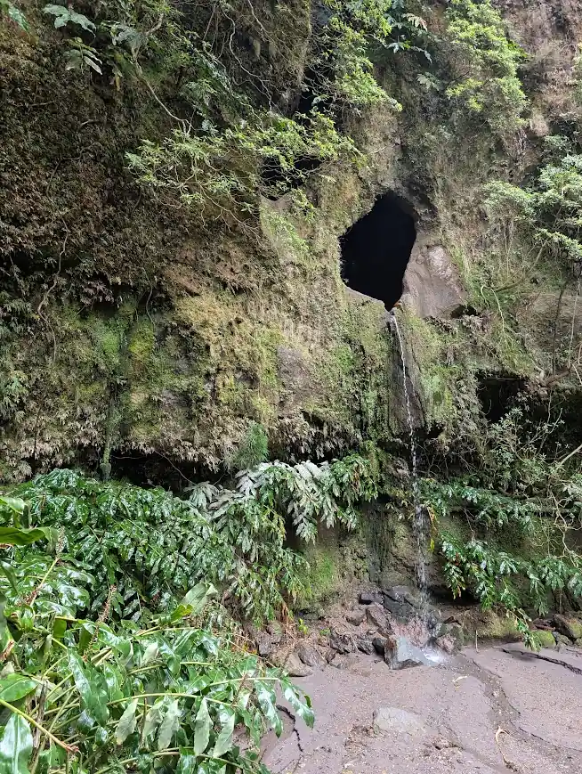 Waterfall emerging from cave opening at Janela do Inferno, São Miguel, Azores