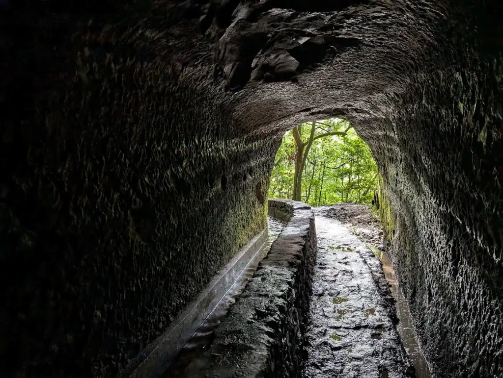 Narrow levada water channel and walkway inside a rock tunnel opening onto green forest on Madeira