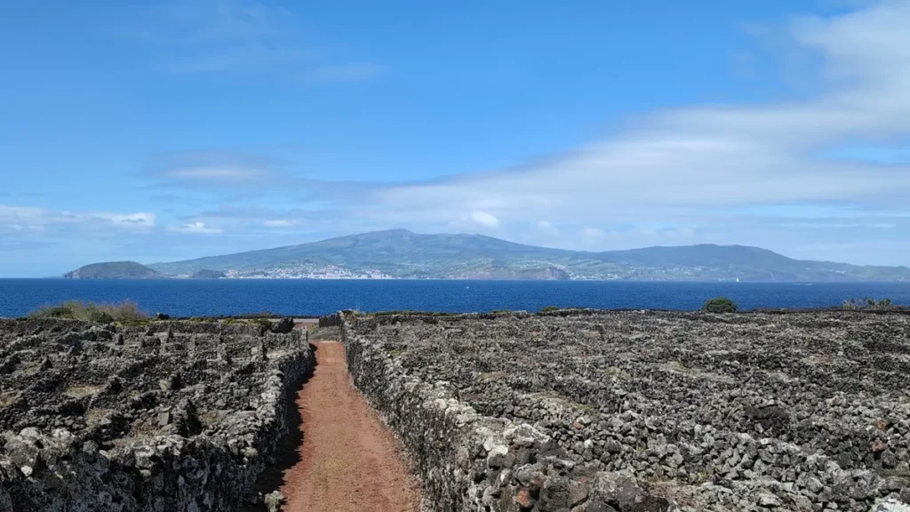 UNESCO-listed vineyards on Pico island with Faial island visible across the water, Azores