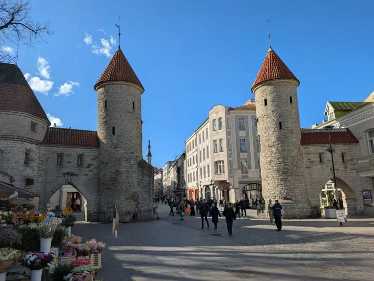 Medieval Viru Gate towers at the entrance to Tallinn old town, with flower stalls and pedestrians in the foreground, Estonia