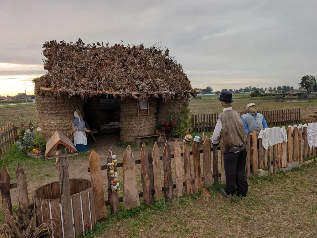 Traditional Polish Dożynki harvest festival display with straw figures and a hay bale hut at dusk