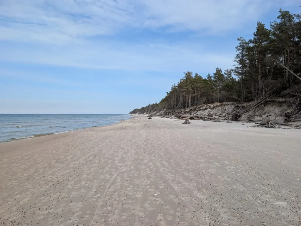 Empty Baltic Sea beach in April with pine forest and eroding sand cliffs, Polish coast near Jastrzębia Góra