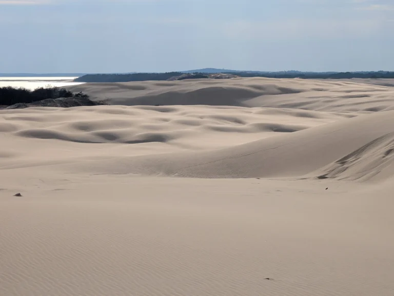 Moving sand dunes in Słowiński National Park on the Baltic coast of Poland in April