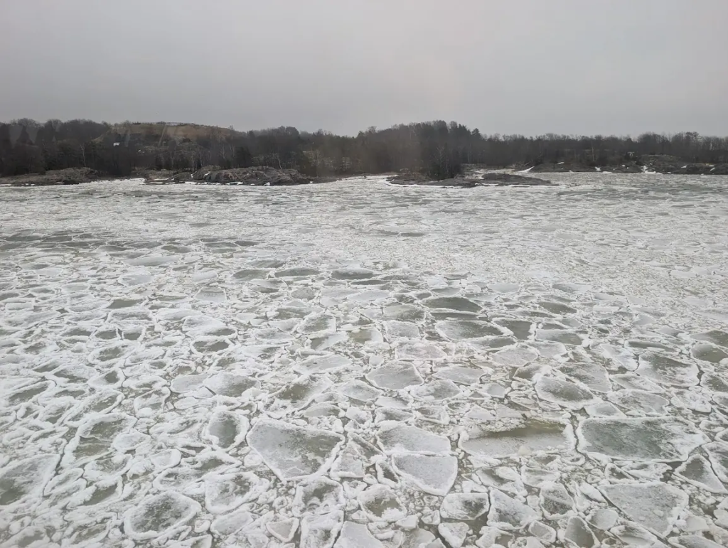Ice floes on the sea approaching Helsinki by ferry from Tallinn, March 2026