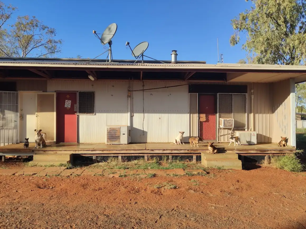Staff housing in Amata with camp dogs sitting on the porch and satellite dishes on the roof.