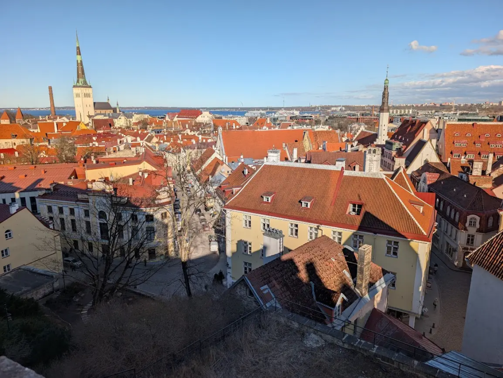 View over Tallinn old town red rooftops from Kohtuotsa viewing platform, with St. Olaf's Church spire and the sea in the background
