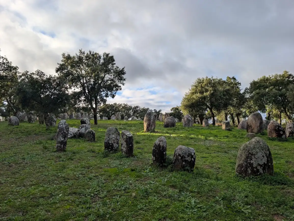 Standing stones of the Almendres Cromlech megalithic site near Évora, Portugal, among cork oak trees