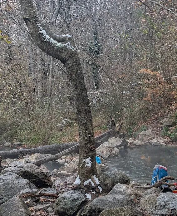 Natural hot spring pool in a forest near Ax-les-Thermes in the French Pyrenees, with a snow-dusted tree and rocks beside the steaming water