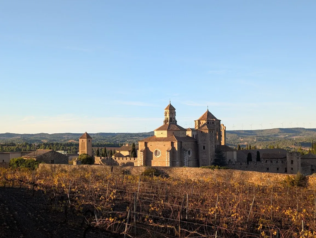 Poblet Abbey in Catalonia seen across a vineyard at sunset, stone monastery towers lit warm against the sky